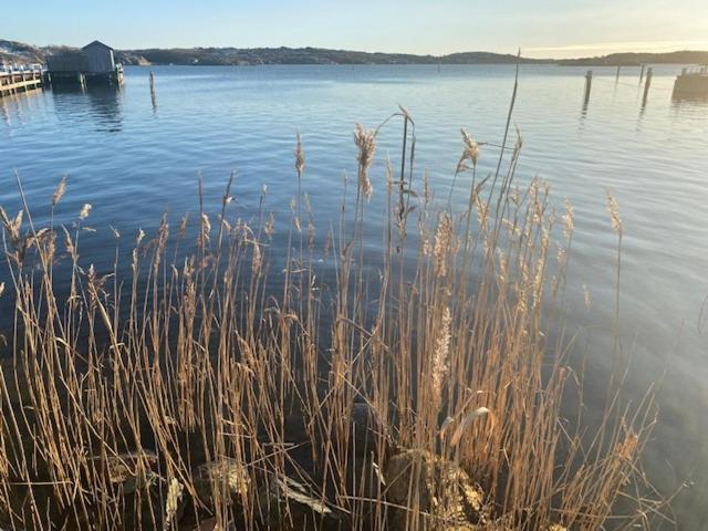 Villa Mycket Trevlig Stuga Pa Branno Med Havsutsikt Extérieur photo